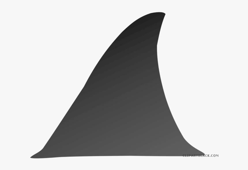 Clipart Shark Fin - Transparent Background Shark Fin Clipart, HD Png Download