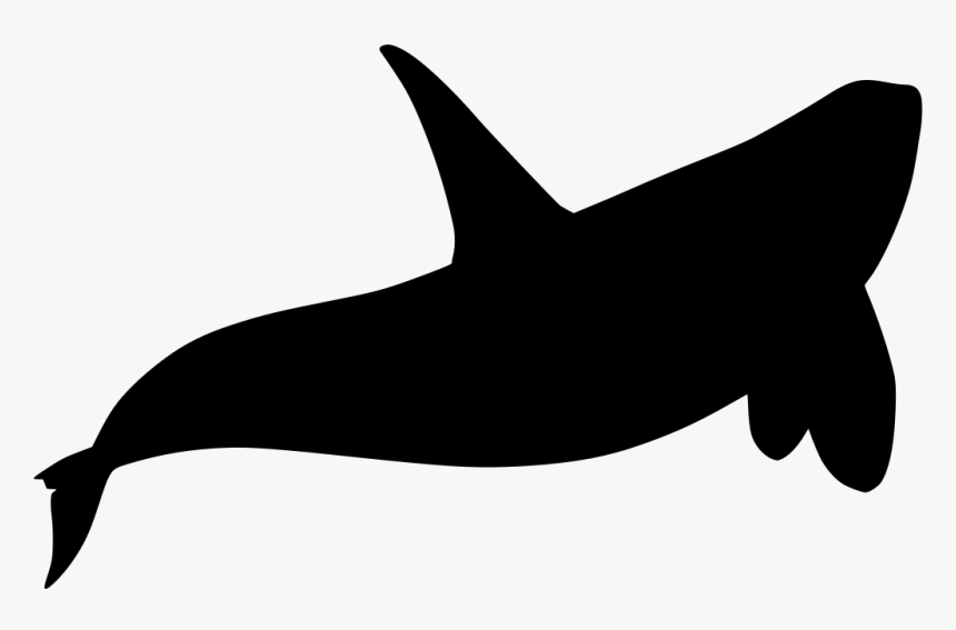 Whales, HD Png Download