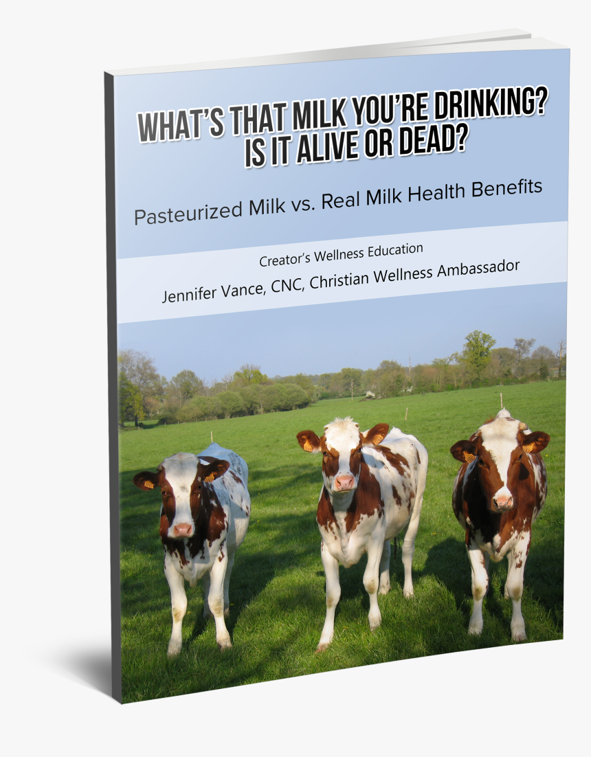 Cows , Png Download - Cows, Transparent Png