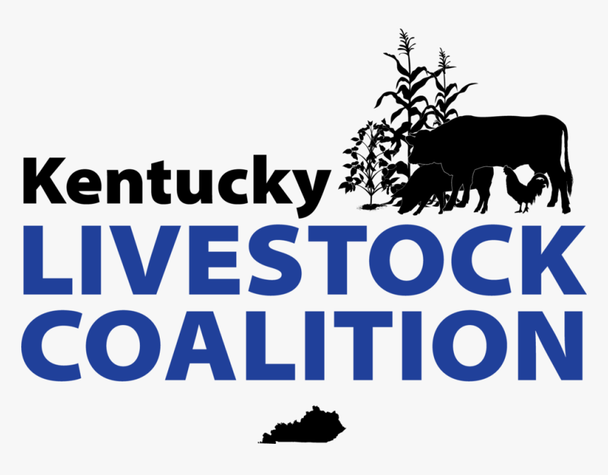 Cows Png, Transparent Png