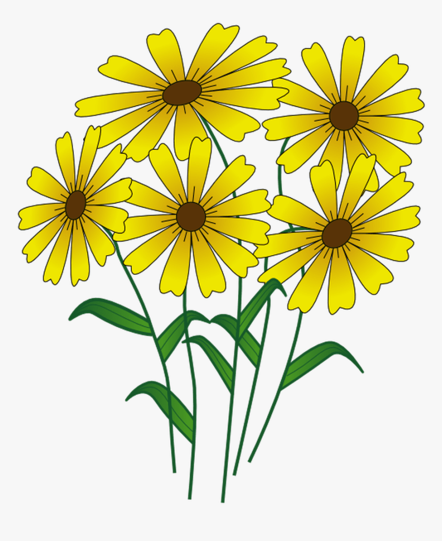 Transparent Summer Clipart - Nice Flowers Cartoon, HD Png Download