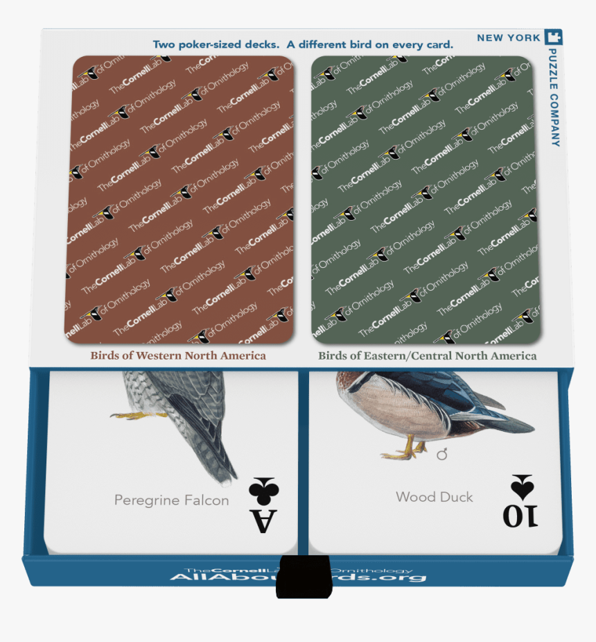 Humpback Whale, HD Png Download