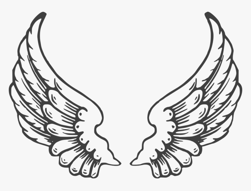 Wing Clipart Black And White, HD Png Download