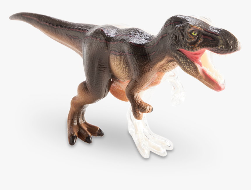 4d Vision T-rex Anatomy Model - Velociraptor, HD Png Download