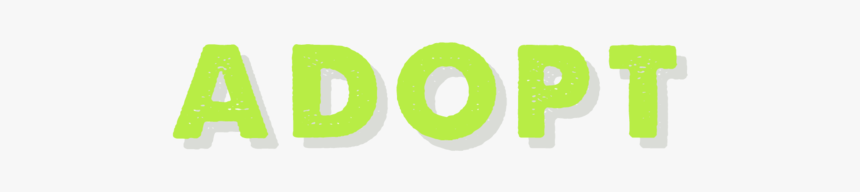 Adopt - Graphic Design, HD Png Download
