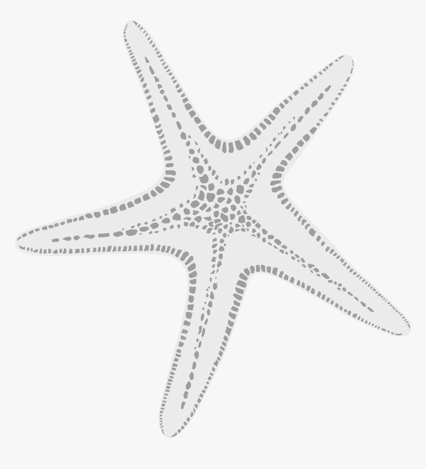 Transparent White Starfish Png - Menu, Png Download