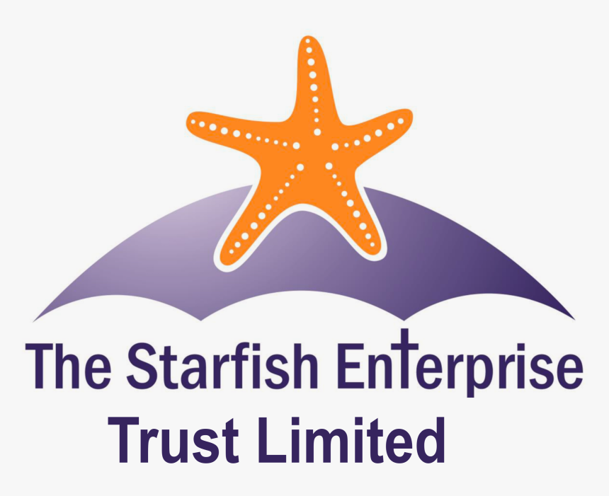 Starfish Basingstoke - Starfish, HD Png Download
