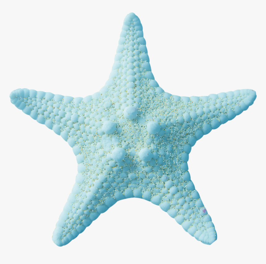 Starfish, HD Png Download