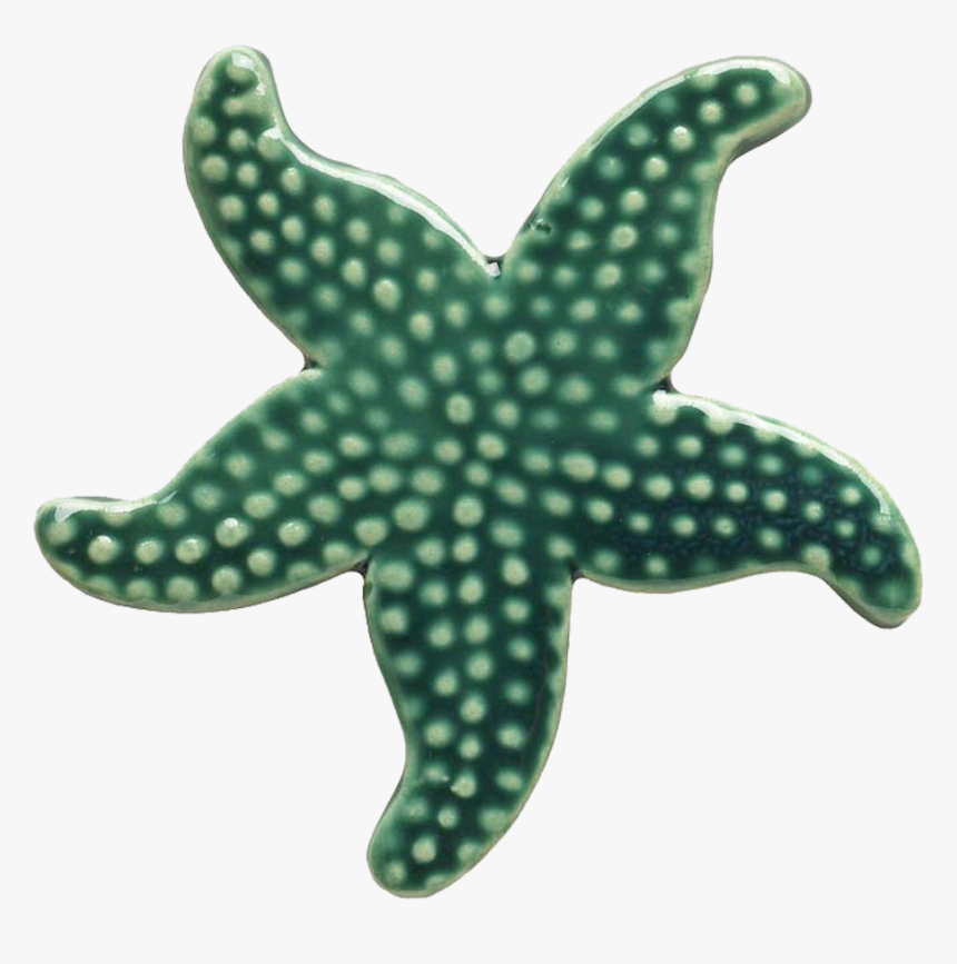 102tl Teal Starfish - Green Starfish, HD Png Download