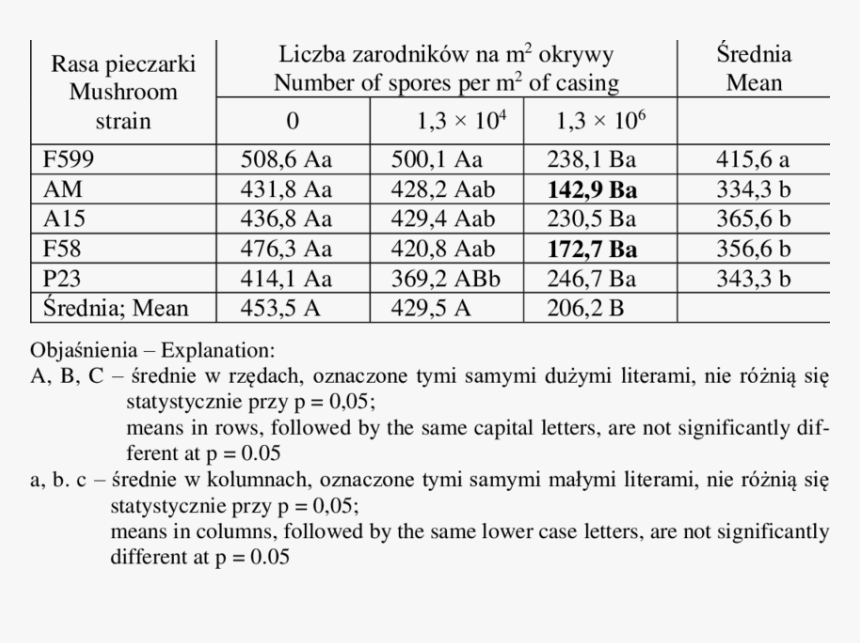 Document, HD Png Download