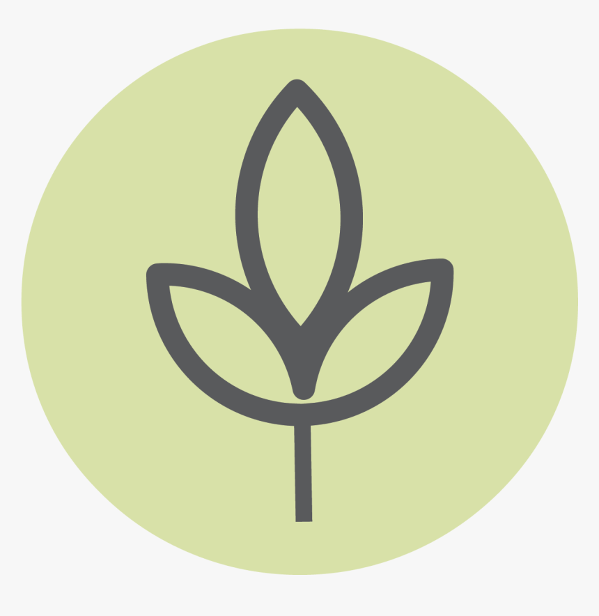 8 Dimensions Of Wellness, HD Png Download