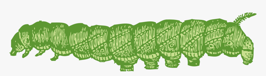 Caterpillar, HD Png Download