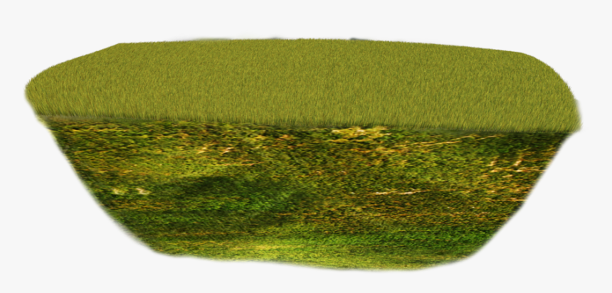 Thumb Image - Hedge, HD Png Download