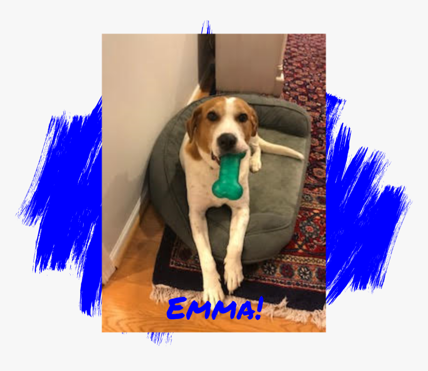 Dog - Do Paw Blue, HD Png Download