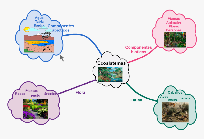 Australian Animals, HD Png Download