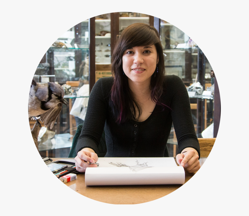 Artist Photo Es Large - Girl, HD Png Download