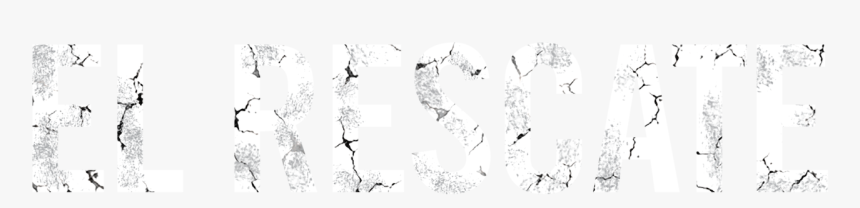 Critical Software, HD Png Download