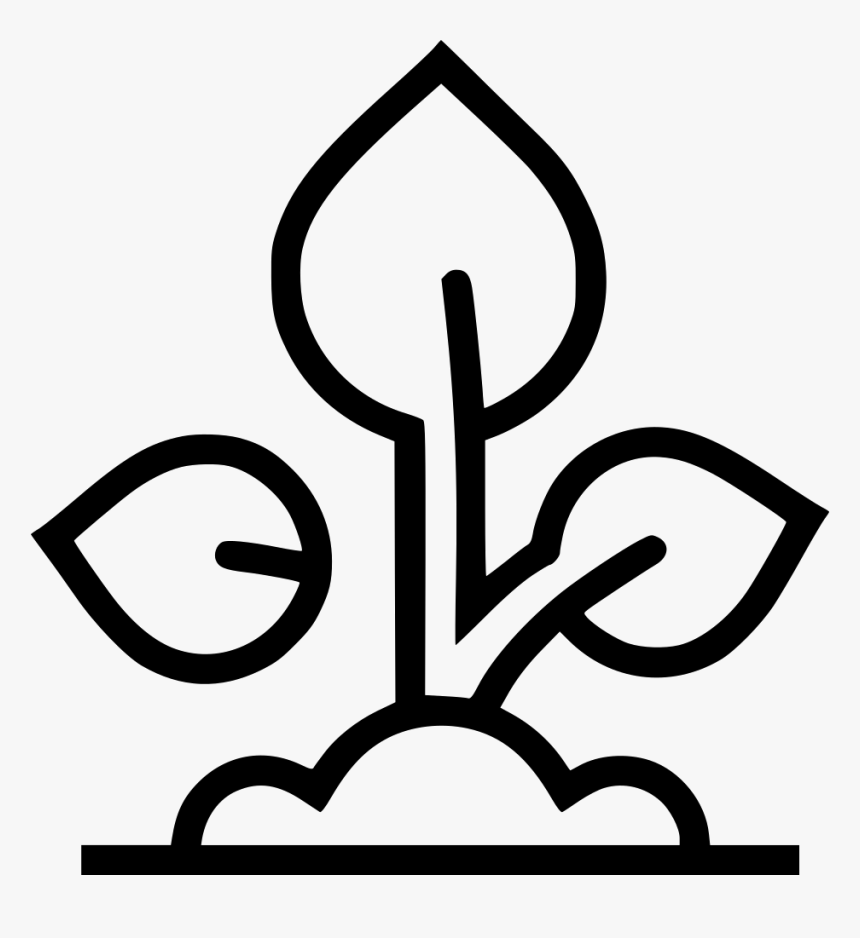Plant Seedling Grow - Icon, HD Png Download