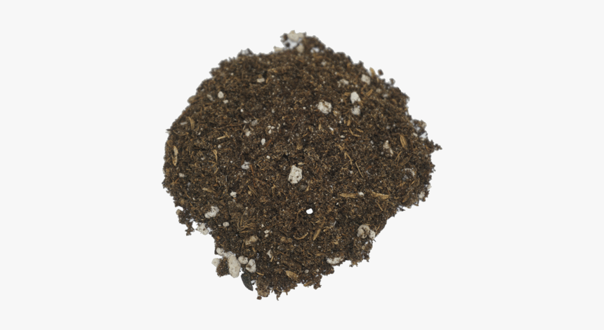 Seedling Soil 
 Class Lazyload Lazyload Fade In Cloudzoom - Soil, HD Png Download