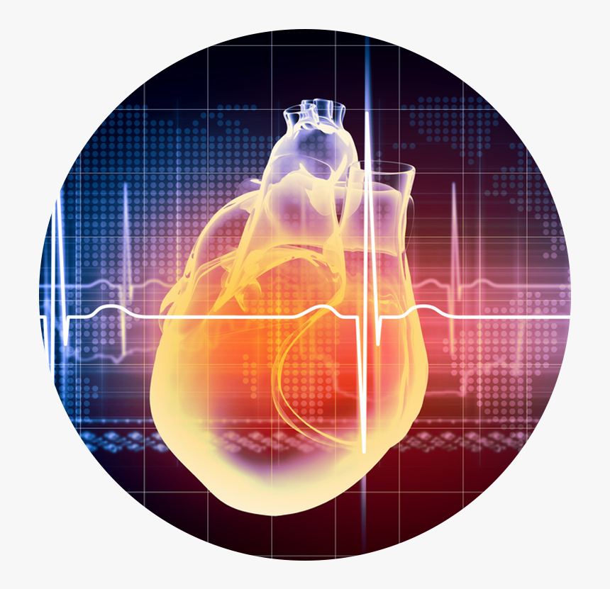 First Degree Av Block Animation, HD Png Download