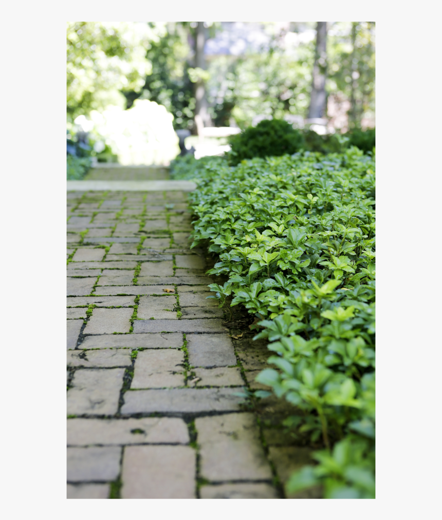 0892-0094 Copy, HD Png Download