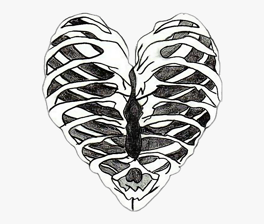 Bones Drawing Heart - Skeleton Heart Drawing, HD Png Download