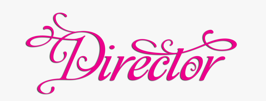 Jewellery Clothing Accessories Paparazzi Pin Business - Director Paparazzi, HD Png Download