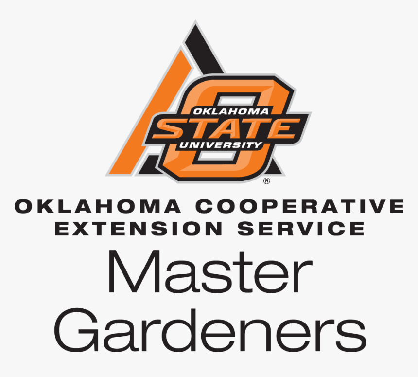 Mg Osu Logo - Graphic Design, HD Png Download