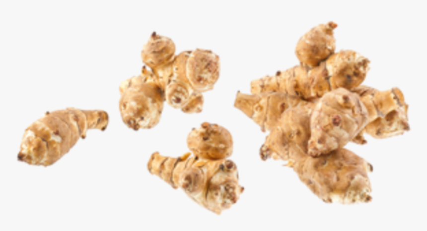 Topi, Suwanee Whole Life Locallygrown - Greater Galangal, HD Png Download