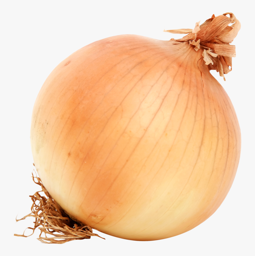 Brown Onion Png Image - Onion Png, Transparent Png