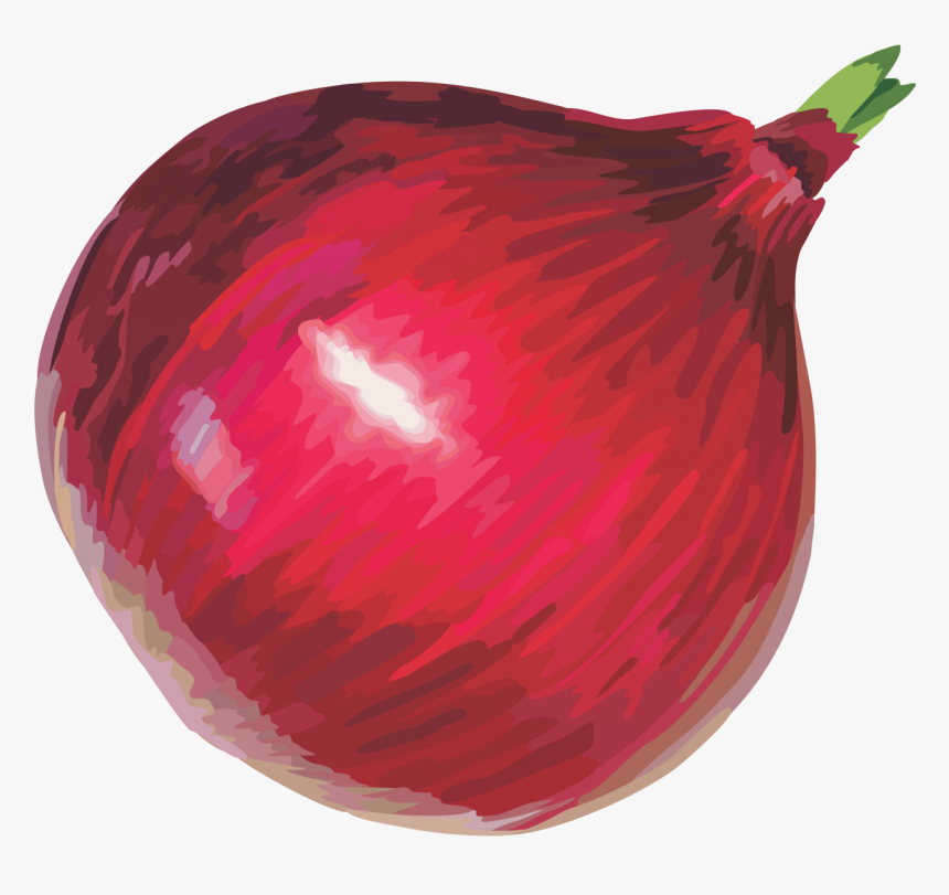 Onion Png Image - Clipart Onion Png, Transparent Png