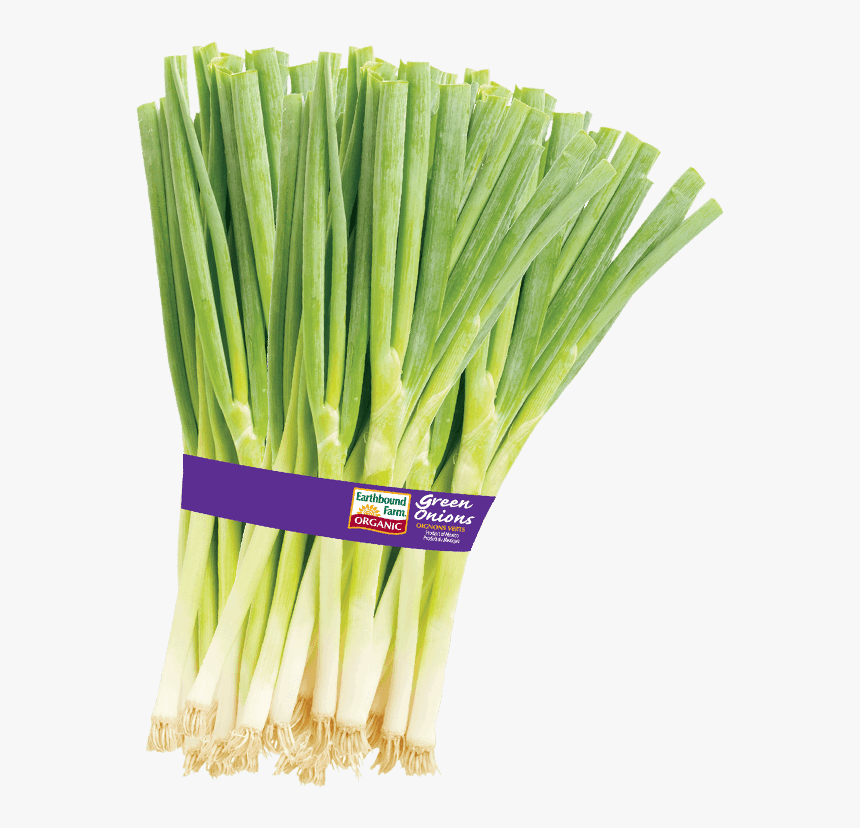 600 X 753 - Organic Green Onions, HD Png Download
