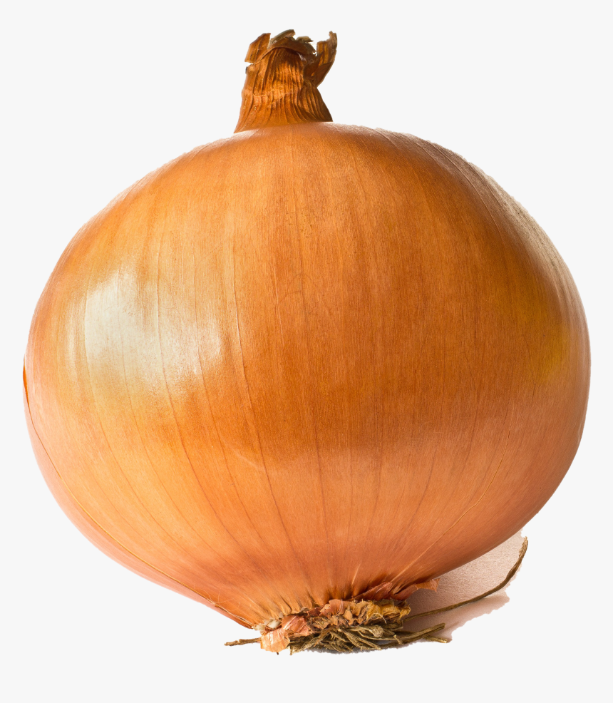Onion Png Background - Large Onion, Transparent Png