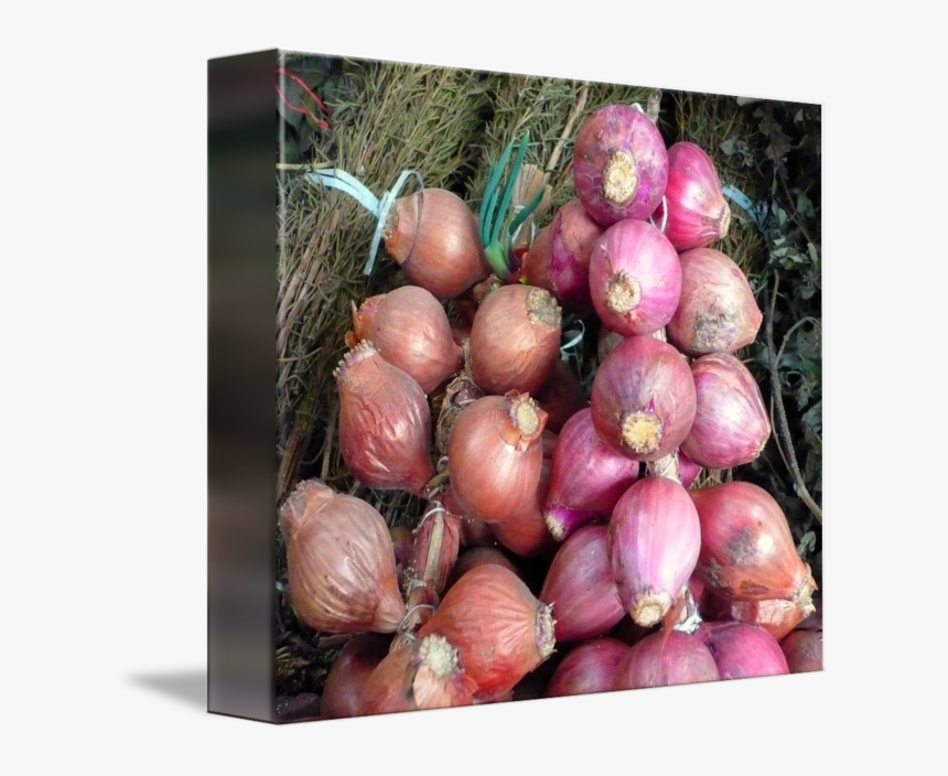 Svg Cebollas Onions By Marcos Granda - Red Onion, HD Png Download