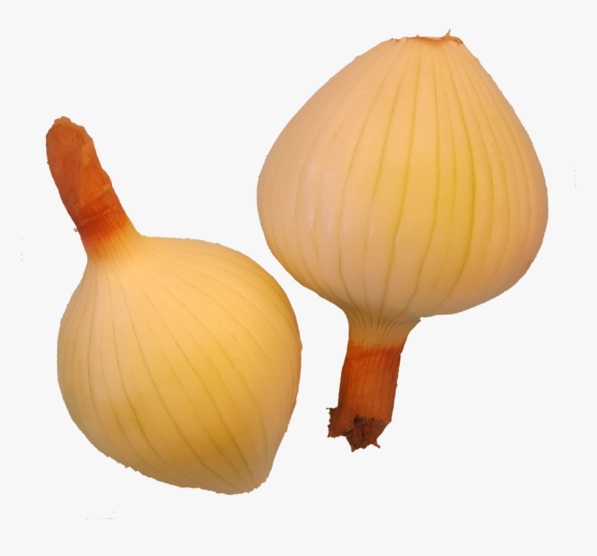 Yellow Onion, HD Png Download