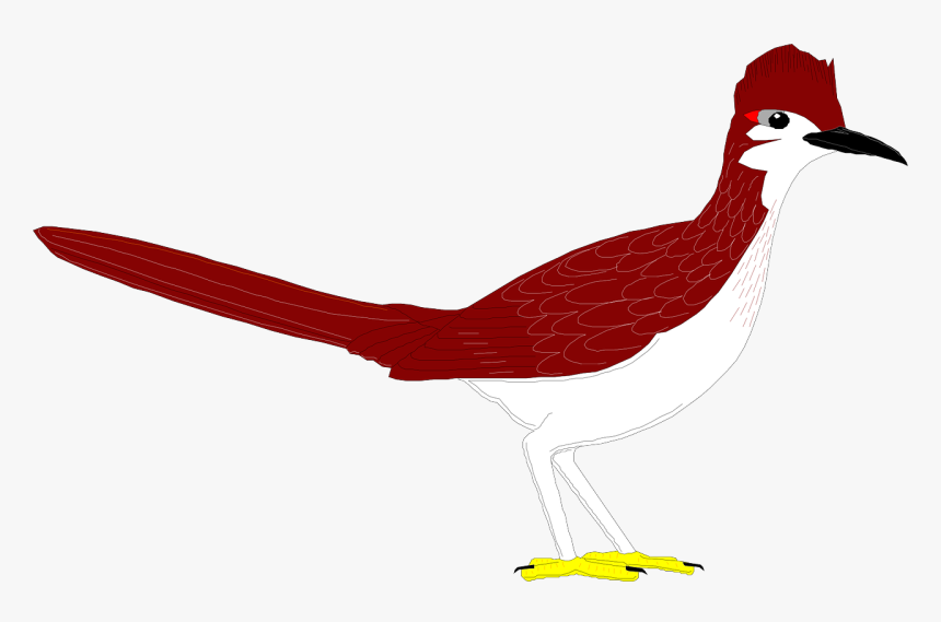 Roadrunner Bird Clipart Running, HD Png Download