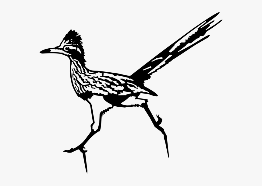 Roadrunner, HD Png Download