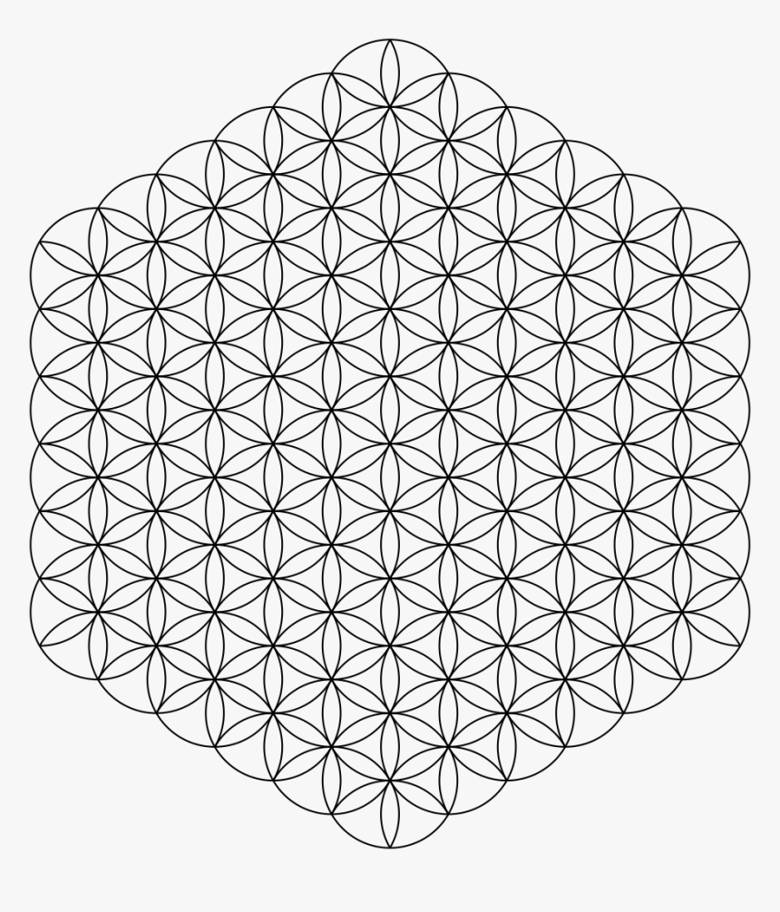 Flower Of Life Jpg, HD Png Download