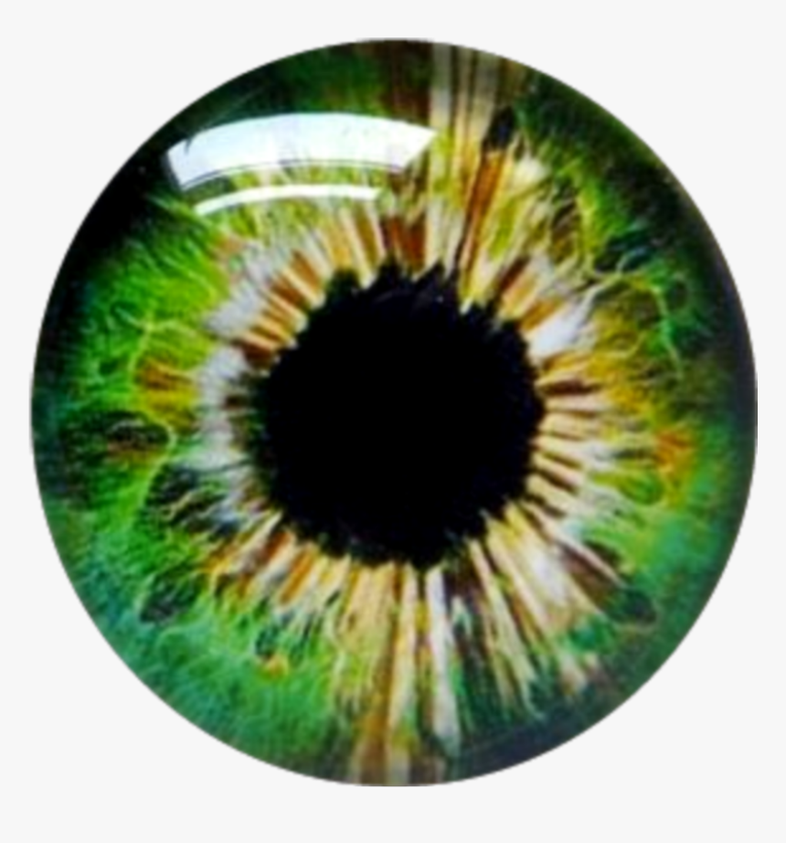 #greeneyes #eye #contacts #eyeballs - Circle, HD Png Download