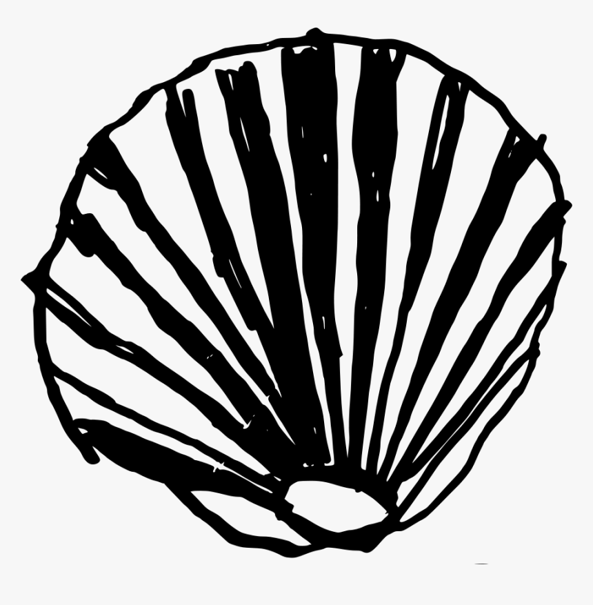 Shell Svg Clip Arts - Conchas Vector Png, Transparent Png
