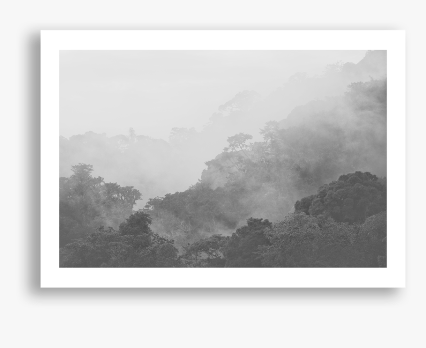 Rainforwest, Nyungwe, HD Png Download