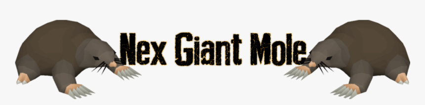 Ovhfhq8 - Calligraphy, HD Png Download