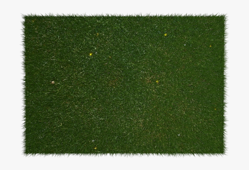 Soccer Field Png By Dabbex30 - Lawn, Transparent Png