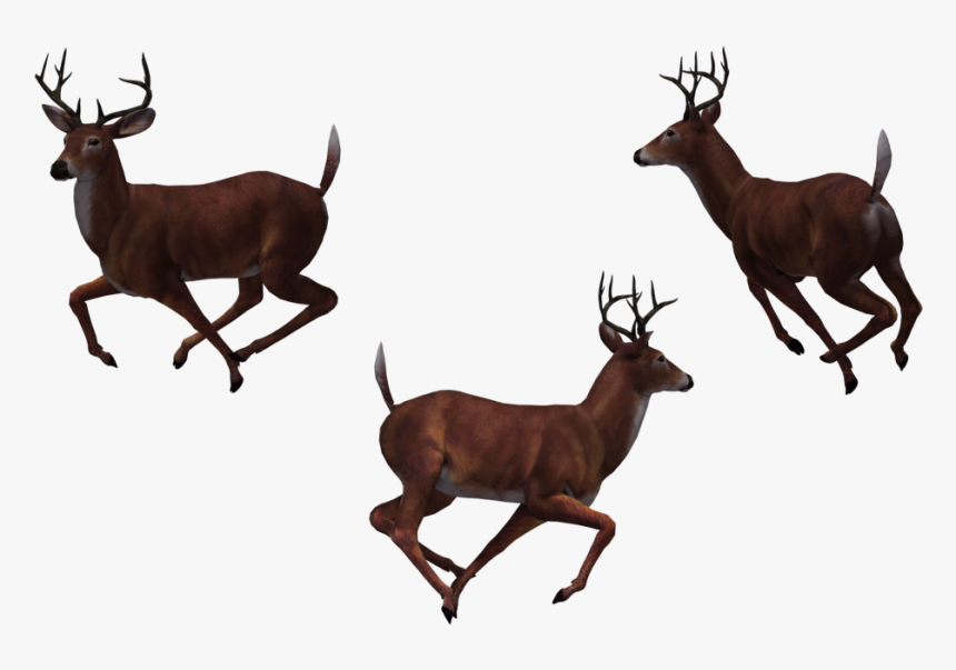 Deer - Cartoon Group Of Deer, HD Png Download
