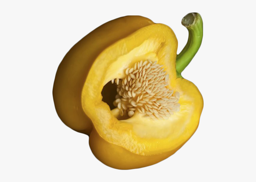 Bell Pepper Transparent - Bell Peppers And Chili Peppers, HD Png Download