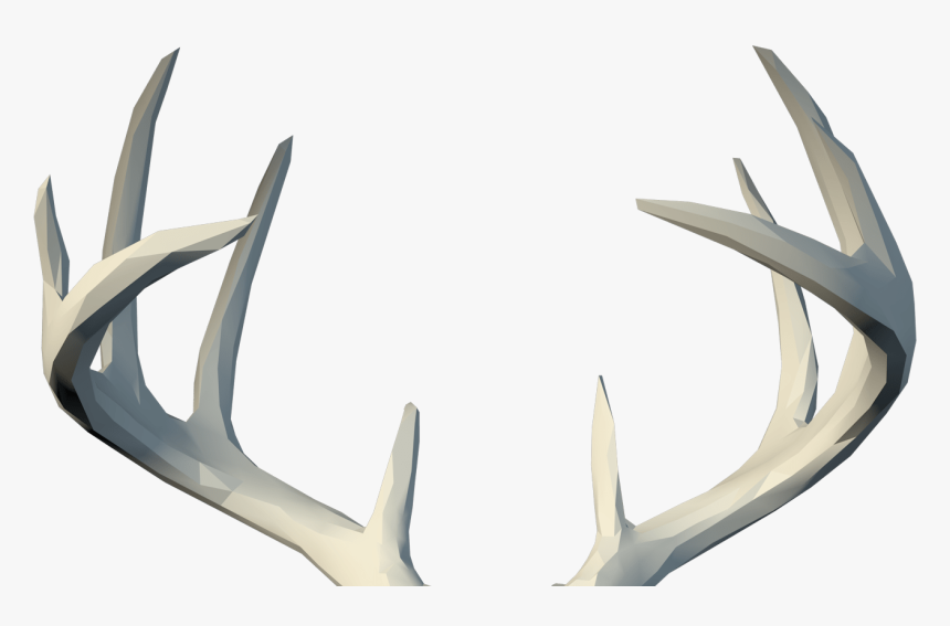 Footer Antlers Image - Reindeer, HD Png Download