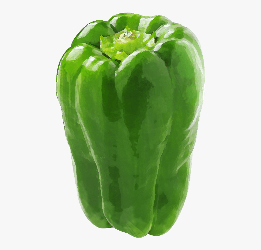Green Bell Pepper , Png Download - Green Bell Pepper, Transparent Png