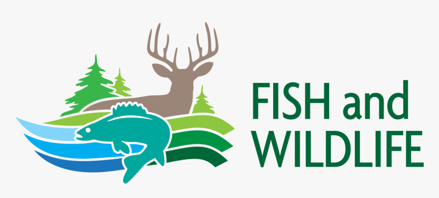 Fish And Wildlife - Deer Tag Ontario 2019, HD Png Download