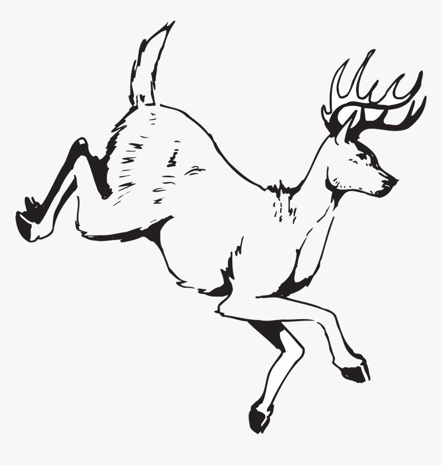 Deer And Fawn Run Clipart, HD Png Download