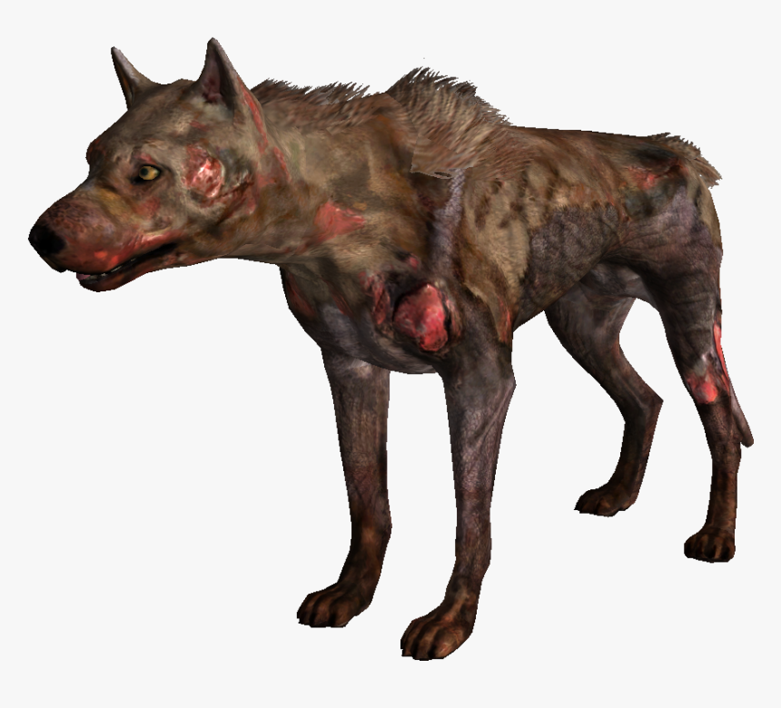 Nukapedia The Vault - Legion Mongrel Fallout, HD Png Download